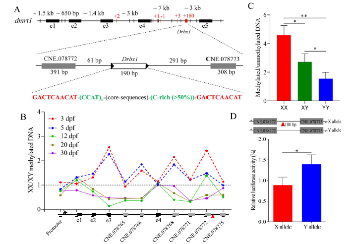 Group of Biology of Reproduction tweet media
