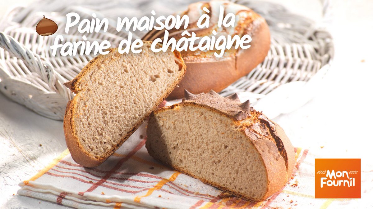 Découvrez notre recette de pain à la farine de châtaigne. 
monfournil.fr/recettes/pain-…
Pour un pain rustique, gourmand et savoureux.

#monfournil #painmaison #faitmaison #chataigne #bio #farinebio #cuisinemaison