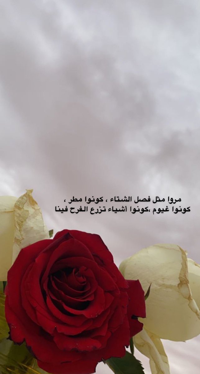 مروا مثل فصل الشتاء ، كونوا مطر ،
كونوا غيوم ،كونوا أشياء تزرع الفرح فينا ✨♥️ مساء الخير 
تصويري