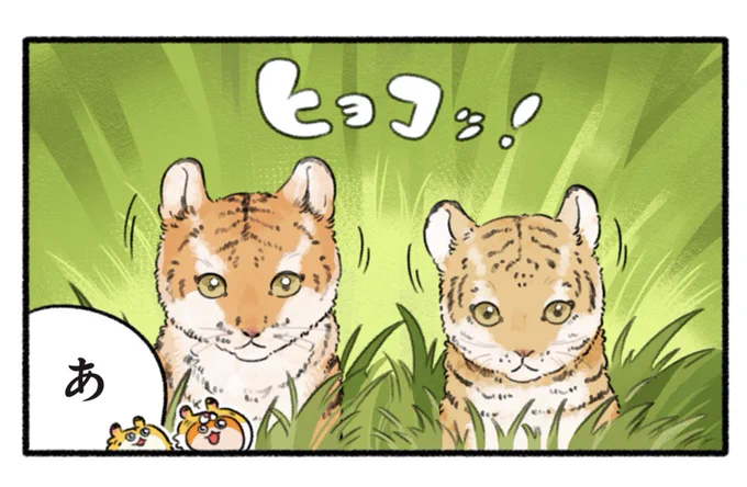 本日マンガワンで81話&先読み82話が更新されました🐯よろしくお願いします!
https://t.co/z7BLZegDFL
#マンガワン #クソハムちゃん 