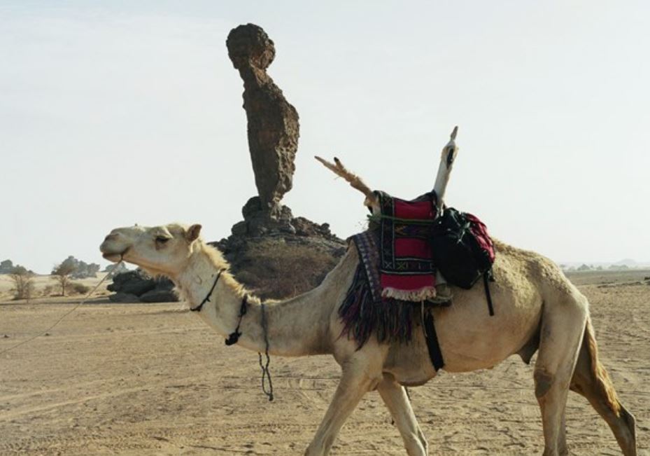 ArmchairTravel5's tweet image. With no #Puzzlecache in #Libya for me to tackle &apos;virtually&apos; I resorted to an #Earthcache .  I did enjoy going to the Acacus - First earthcache in Libya   (GC18KWH) in my mind but still couldn&apos;t answer the question! The scenery was smashing and the camels friendly.  #geocaching