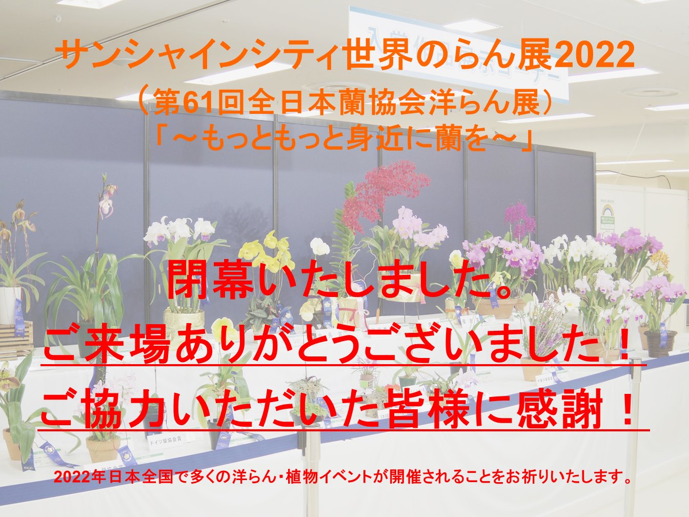 Pure Waterオーキッド Purewater Masa Twitter