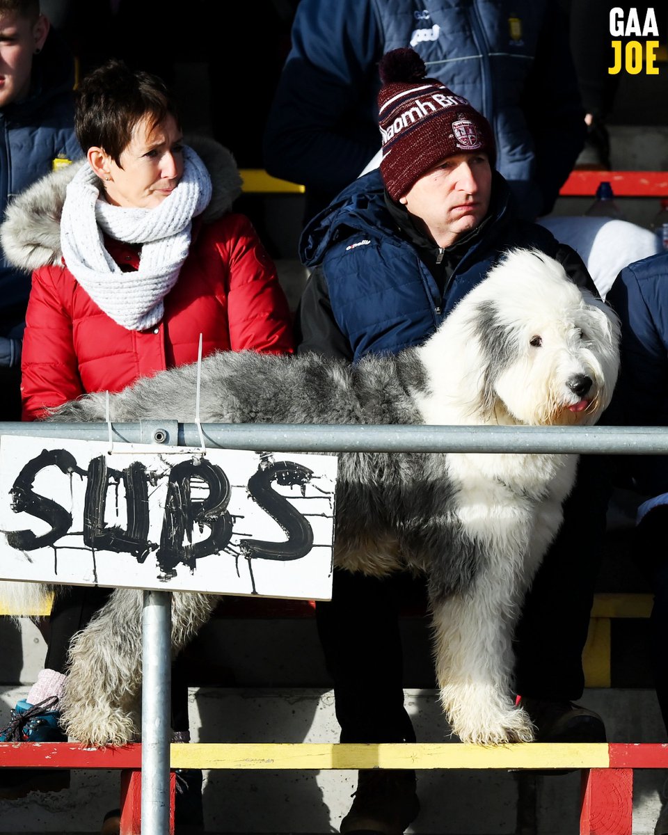 Bring him on he'll work like a .... 😉

Clare were strongly supported in the McGrath Cup at the weekend 🐶