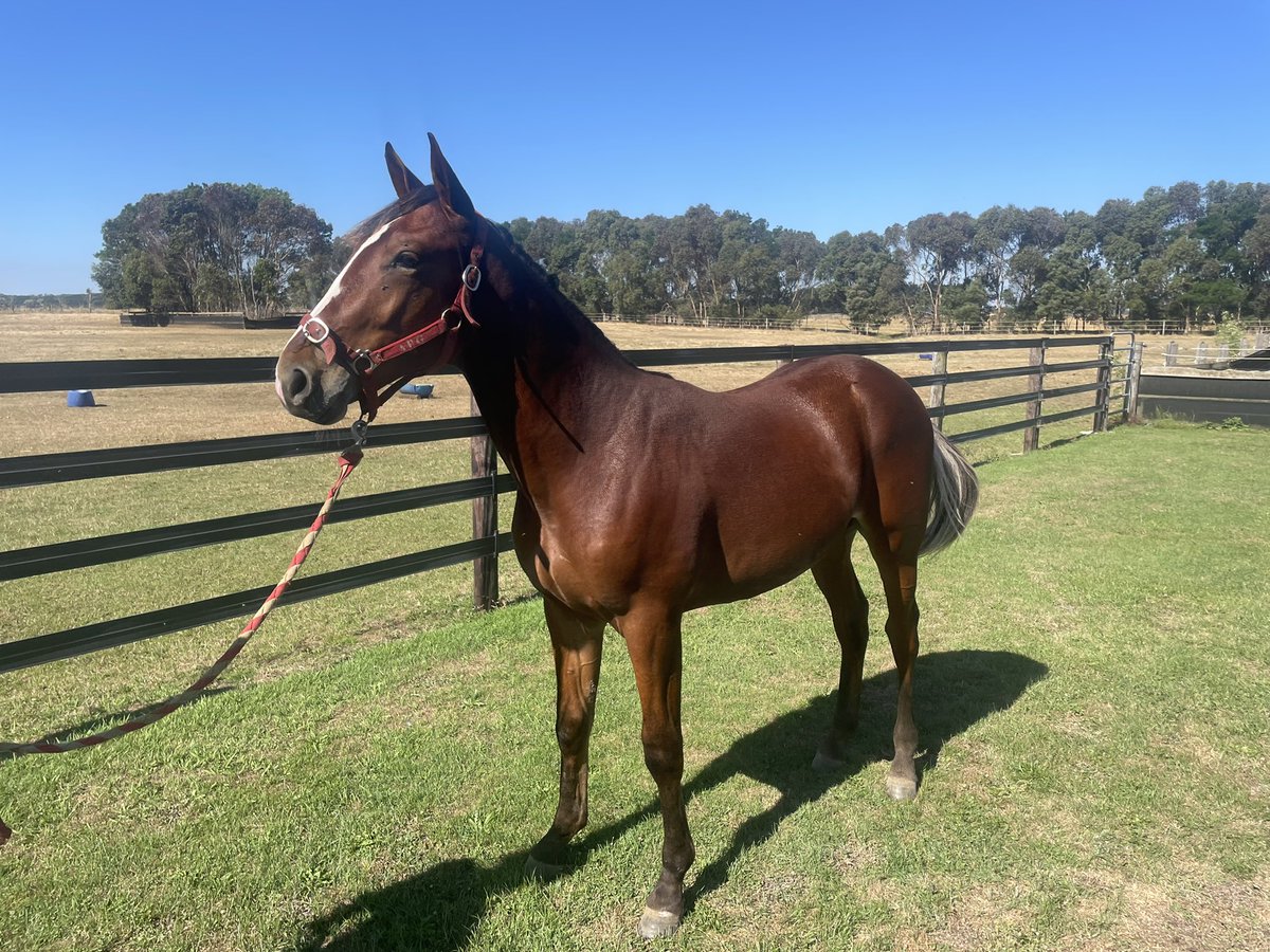 Glen Craven tweet media