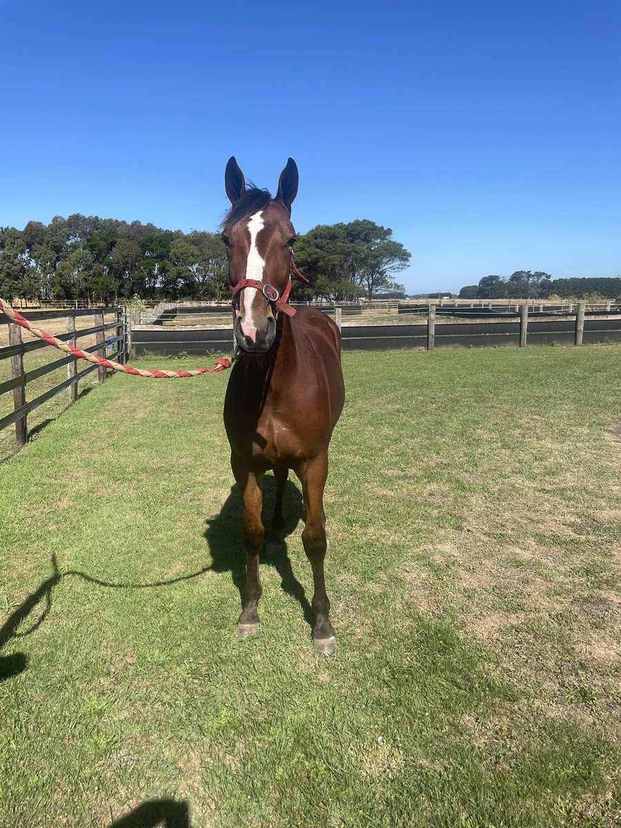 Glen Craven tweet media