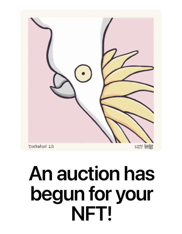 Woohoo! Such an awesome feeling knowing people appreciate my colourful critters. Thanks <a href="/IfCircus/">If I Ran The Circus</a> for the ongoing support 🌱💚 This is the Cockatoo from my mini @withFND collection.