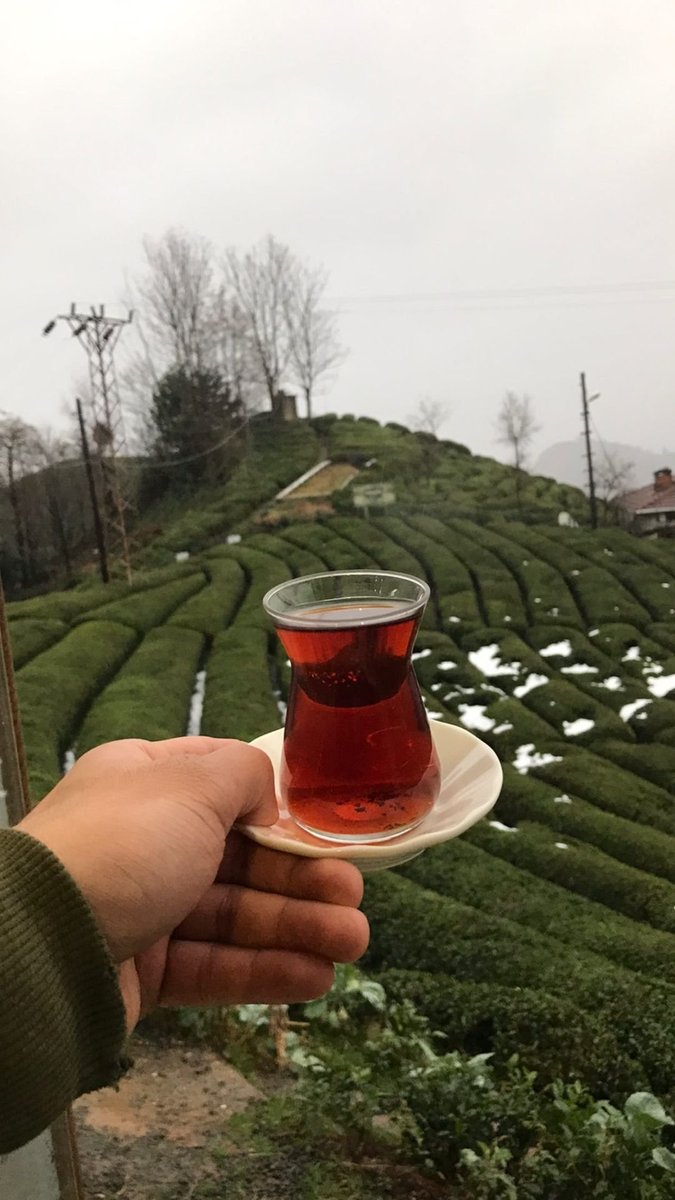 haremtepececeva's tweet photo. "çay en kısa şiir idi, dem tutmasını bilenlere." https://t.co/8R5mkEGaEy