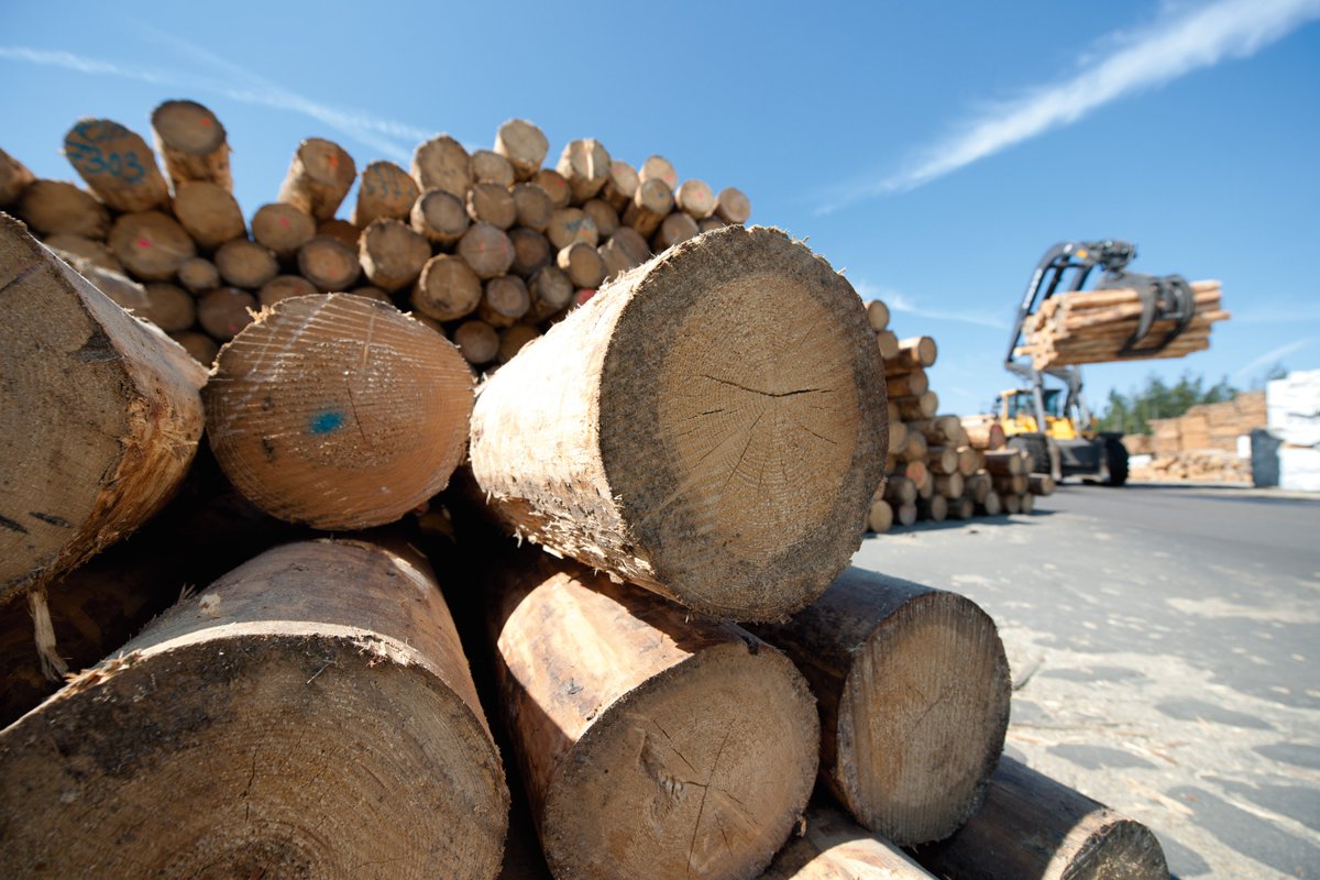 In many countries, Christmas season is over now. Sawmills are therefore likely to be running at full speed to process Xmas. To increase their #energyefficiency, it needs a systematic #powermonitoring. Have a look at this customer example: sie.ag/3JZtFoq