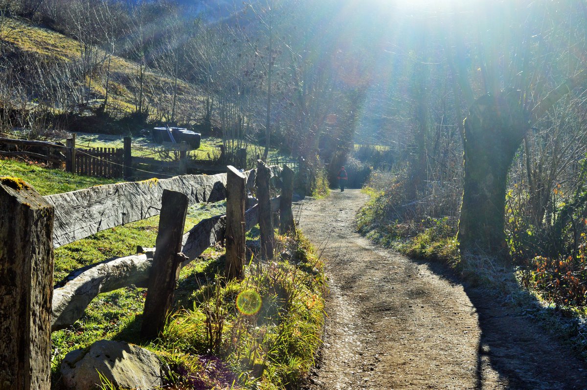 CasoRedes's tweet photo. ¡Nos vamos de ruta! 🎒🥾
#DestinoCaso 
Desfiladero de los Arrudos
 Una ruta que te conducirá por uno de los grandes cañones fluviales de #Asturias y todo en un bellísimo entorno repleto de vegetación. La ruta comienza cerca de la ermita de San Antonio en Caleao
11km. ida y vuelta https://t.co/0OcfIJYPE7