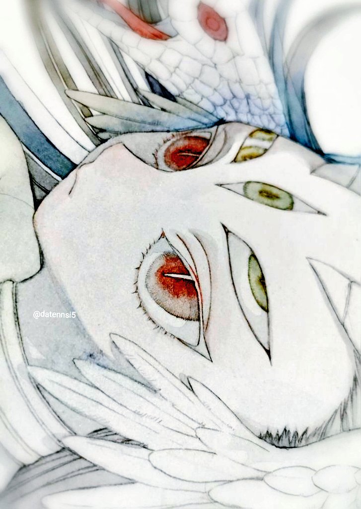 red eyes snake extra eyes eye focus white hair looking at viewer white snake  illustration images