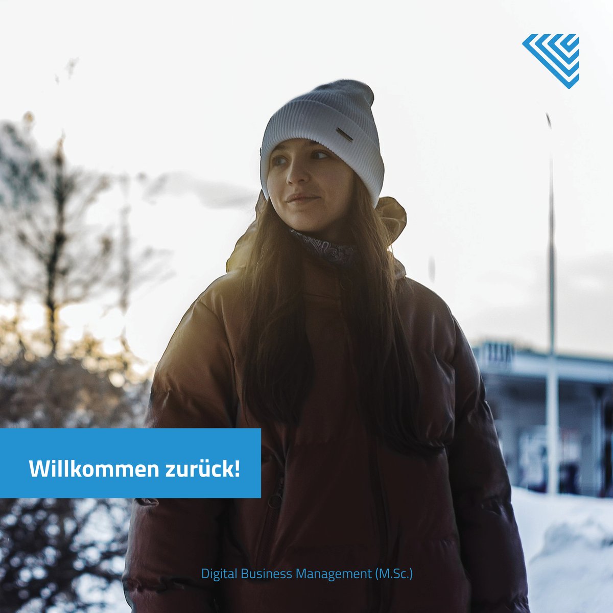 Master Digital Business Management tweet media