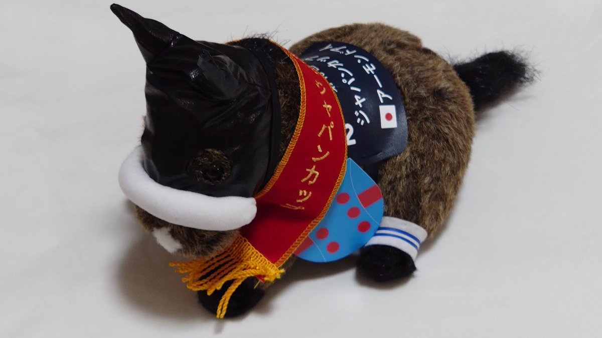 今日はアーモンドアイちゃんの出産予定日らしいのですが・・・お知らせ