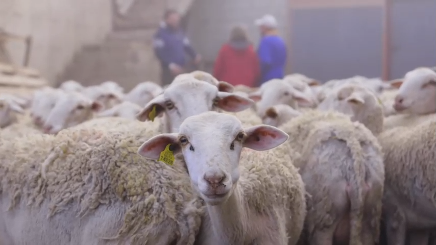 Ayer @TierraSaboresCS en <a href="/canalsur/">CanalSur</a> fue visto en algún momento por 512.000 personas. 

La emisión #TDSOrce alcanzó sus MEJORES DATOS de temporada con el 11.4% de share y 257.000 espectadores de media.

 #Audiencias 📺 📊