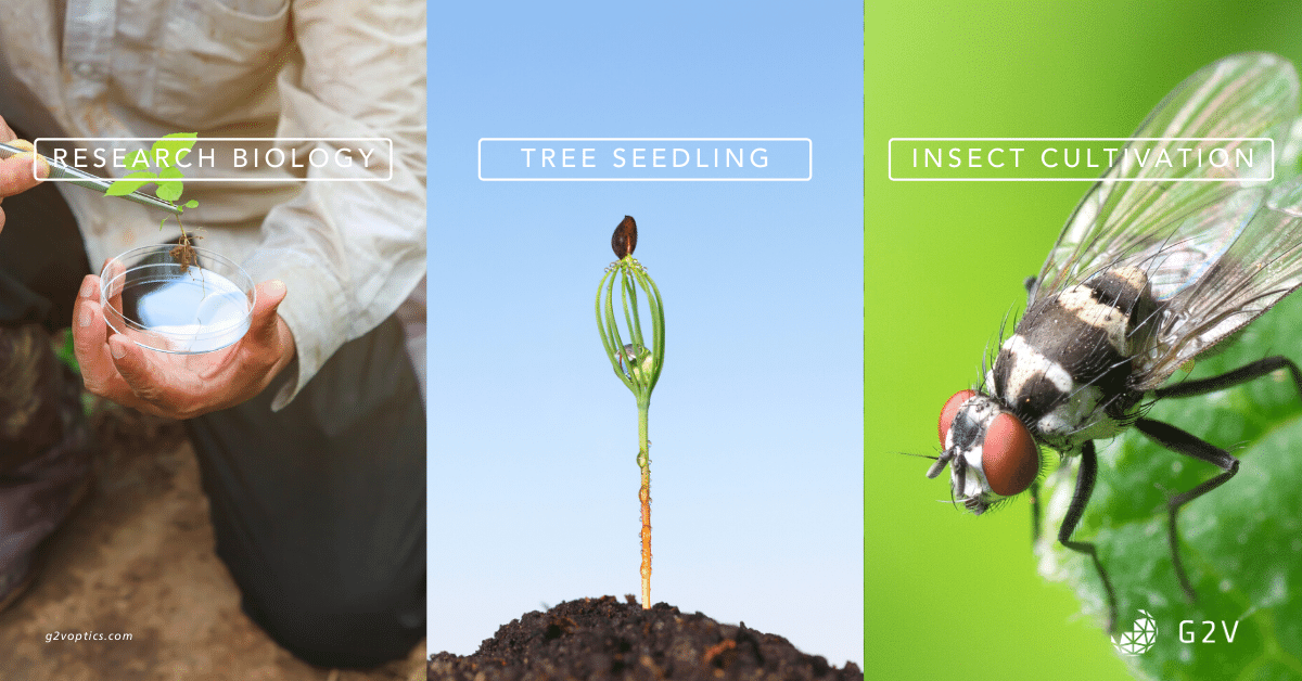 G2VOptics's tweet photo. G2V's horticulture lighting suite is not just for vertical farmers of food crops. Find out how High-grade cultivation lighting is enabling researchers around the world. #engineerthesun, #growlights, #urbanfarming, #verticalfarming https://t.co/36nsV4WeXt https://t.co/sP8gI1cXY1