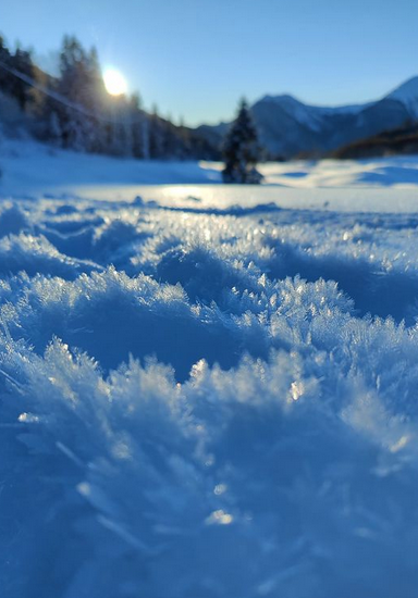 TurismoFVG tweet media