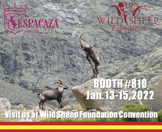 Visit us at #WildSheepFoundation Booth 810 #WSF #wsfoundation #SheepWeek2022 #Conservation