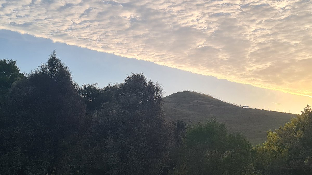 6 days shearing done &amp; dusted, lots of tired bodies. Boys doing a few "special" lambs in second shed on last day.
Family holiday countdown on💕