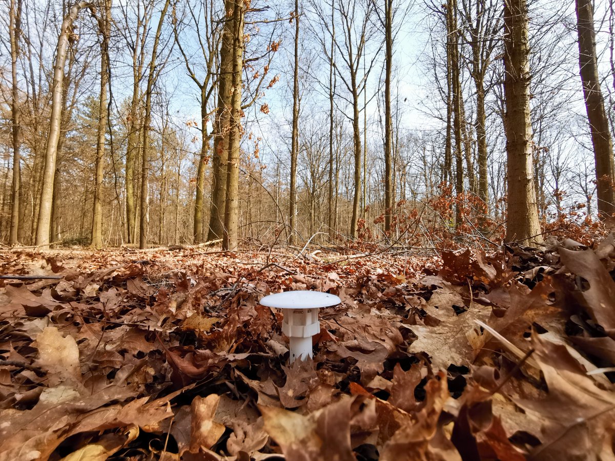 SoilTemp tweet media