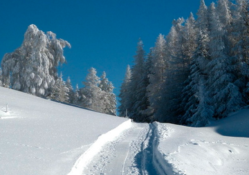 STMediaCH's tweet photo. Noch zum Entdecken! Winterwandern hoch über dem Mattertal! Auf der #Moosalp-Panoramaterrasse von den urchigen Bergdörfern #Törbel nach #Bürchen über aussichtsreiche Felder & tiefverschneite Wälder!
@valaiswallis
@PostAuto-Wandertipp: https://t.co/aTluySAMbD https://t.co/VwyPSTDs0O