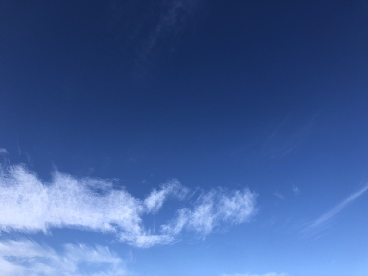 日々の生活を面白がりたくて始めました。