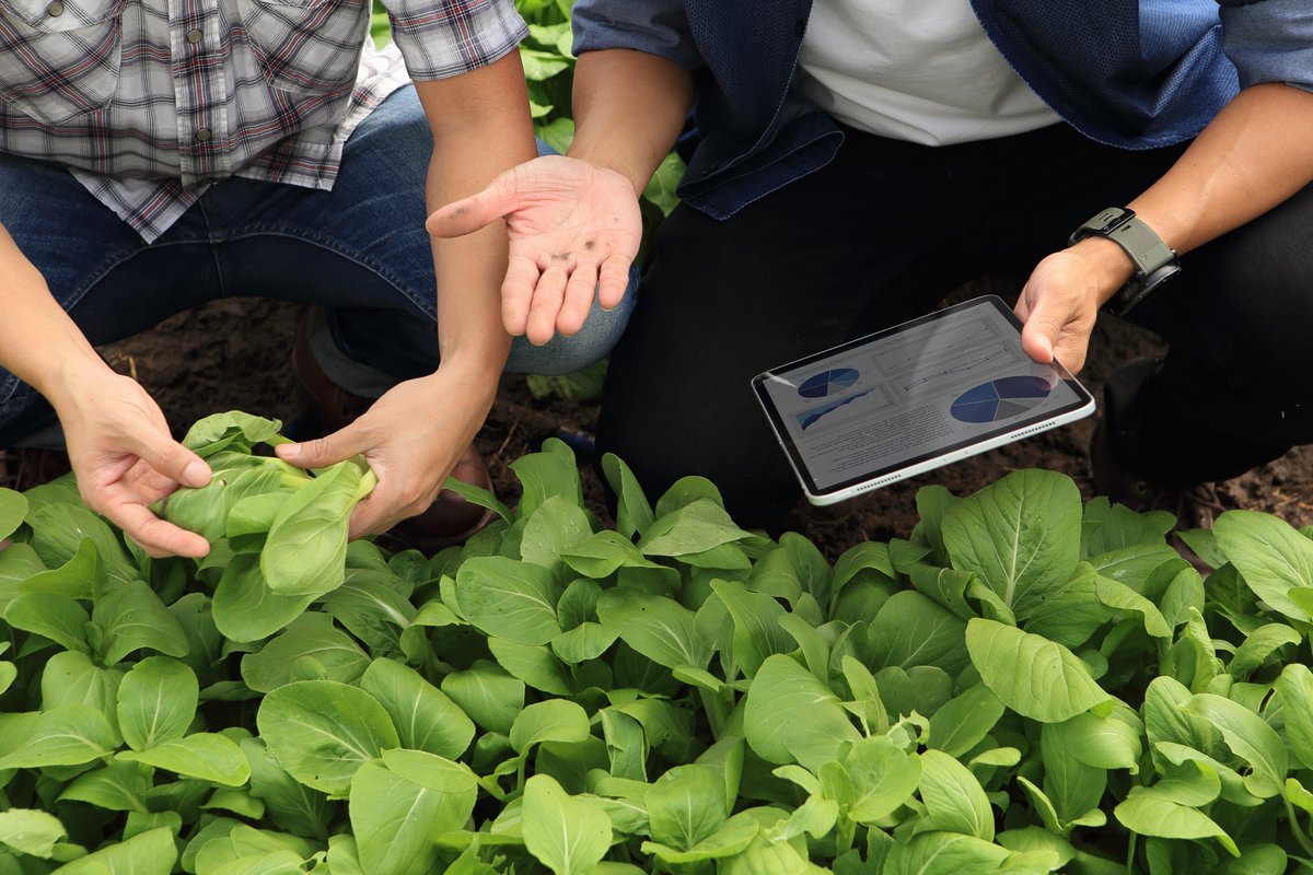 ENRD_Evaluation's tweet photo. Looking for an inventory of farming practices and their impacts on the environment and climate ⁉️🤔Check out IMAP4AGRI in the Knowledge Bank! #Environment #Climate #RDP_Evaluation➡️https://t.co/wLNLzM83kp https://t.co/Da5zYWyGkq