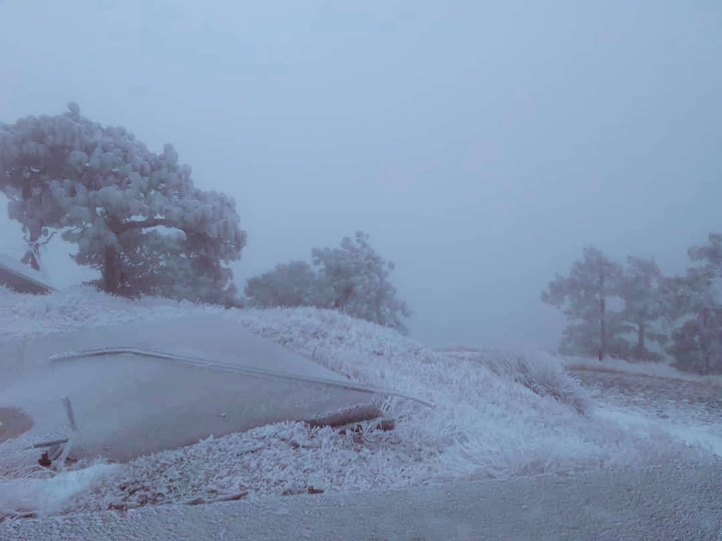 MariaVlzf's tweet photo. @dalia41106453 Look Dalia this is from the first snowfall in Cananea Sonora, I live in Hermosillo Sonora and Cananea is about 4 hours from where I live, and more snow is expected, not only there snows also in other areas
😻❄️☃️💕 https://t.co/acXNv4YbhR