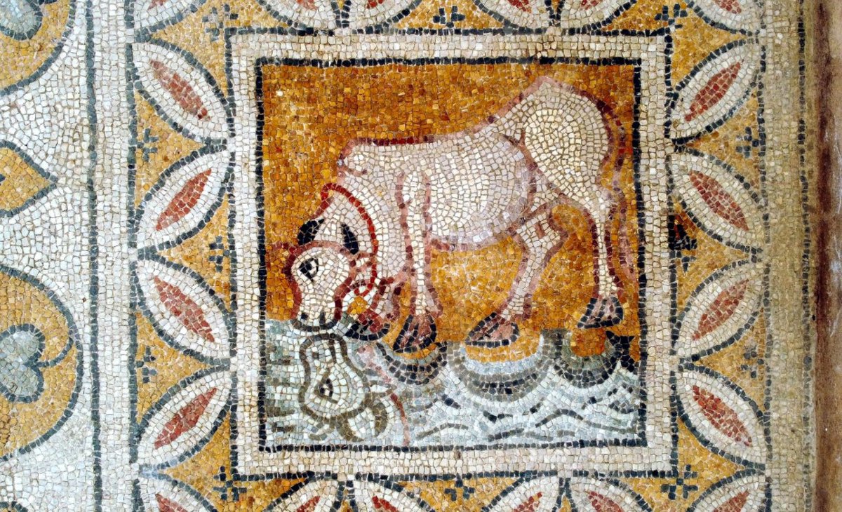 romanpalace's tweet image. Question: "Do any mosaics include depictions of reflections?"

Answer: "Tadaaaaa!" 👇

#MosaicMonday