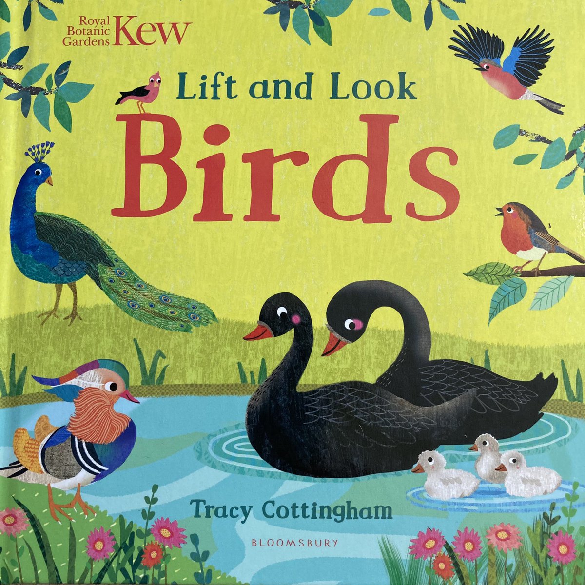 Tracy Cottingham tweet media