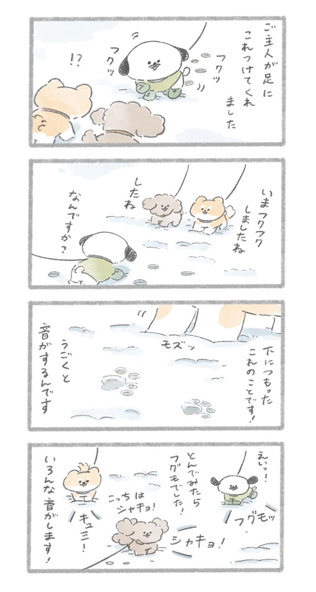 おいぬと雪 #こんにちはいぬです 