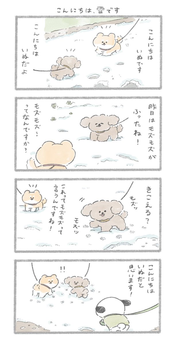 おいぬと雪 #こんにちはいぬです 