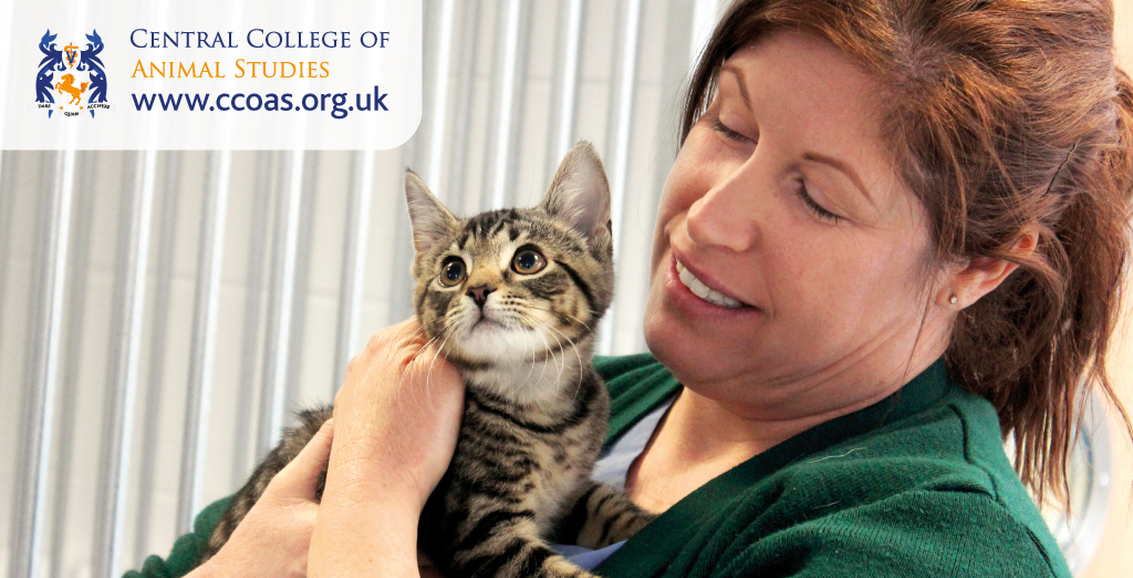 Central College of Animal Studies (@CentralColl) / Twitter Central College of Animal Studies (@CentralColl) / Twitter