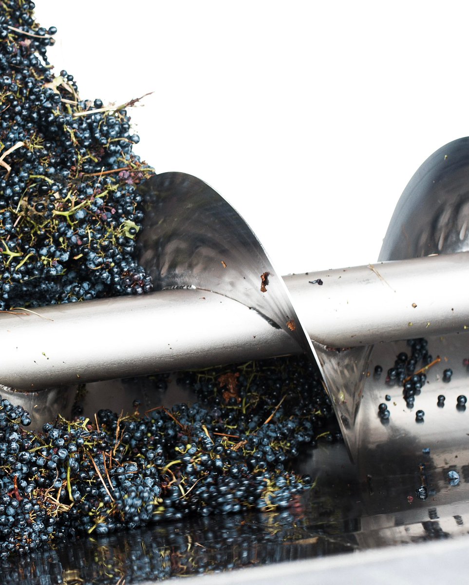 BlendGlobal21's tweet photo. With fruit being sold left, right and centre, we’re excited to announce that we still have some high quality Adelaide Hills Merlot up for grabs!!
If you’re looking to get your hands on Hills Merlot this vintage, get in touch for more information and/or to schedule a site visit! https://t.co/JYSSEKLLO0
