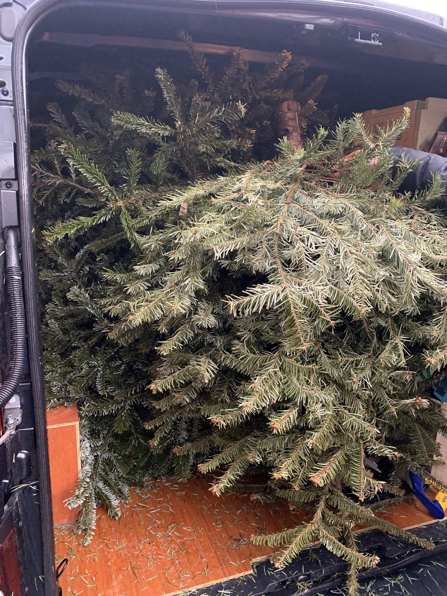 alice_fitzmill's tweet photo. A Saturday well spent, collecting Christmas trees for @LMHospiceCare 🎄Every tree collected = a donation for this wonderful charity supporting people with life-limiting illnesses across Dorset 💖✨#irwinmitchell @PIandMedNeg https://t.co/4xkukRZES4