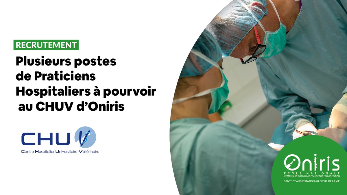 [RECRUTEMENT] Plusieurs postes de PH sont à pourvoir au CHUV d'Oniris.
Docteurs vétérinaires : rejoignez-nous !
chuv.oniris-nantes.fr/accueil/travai…