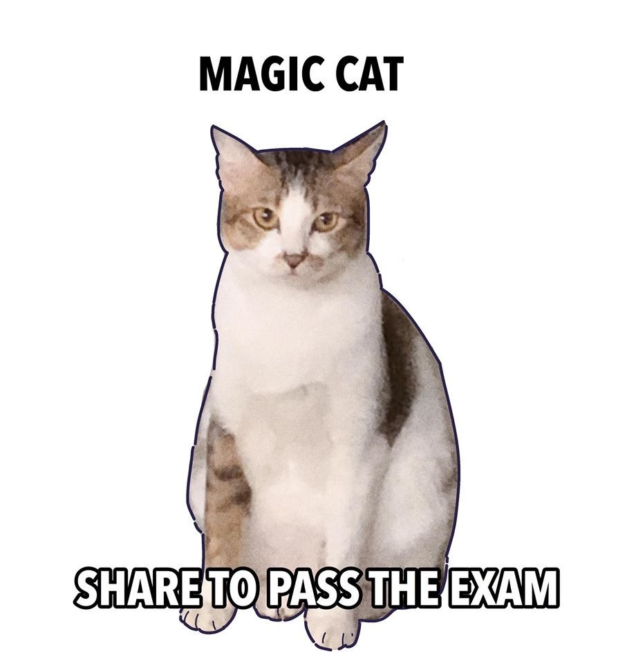 𝒍𝒊𝒍𝒚💐 tweet media