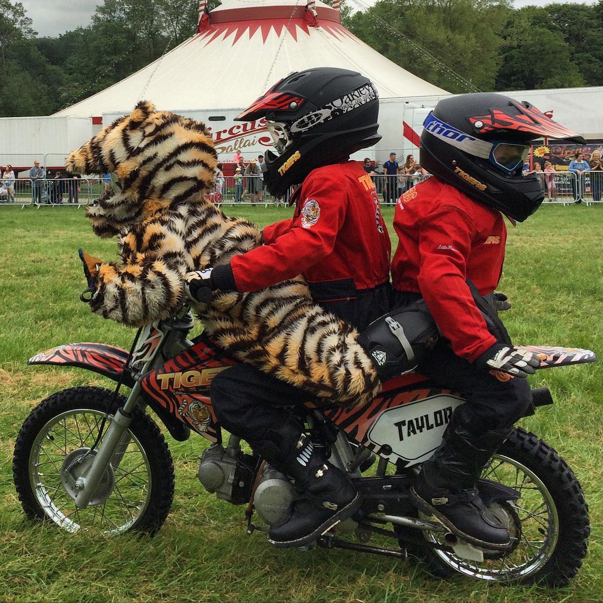 We can't wait for the <a href="/tigersdisplay/">Tigers Children’s Motorcycle Display Team</a> to perform in our Live Action Arena on the 12th June 2022. For more information on what’s on and tickets please visit bromleypageant.co.uk #bromleypageantofmotoring #bromleypageant #classiccarshow #bromley  #beckenham #orpington 
#kent