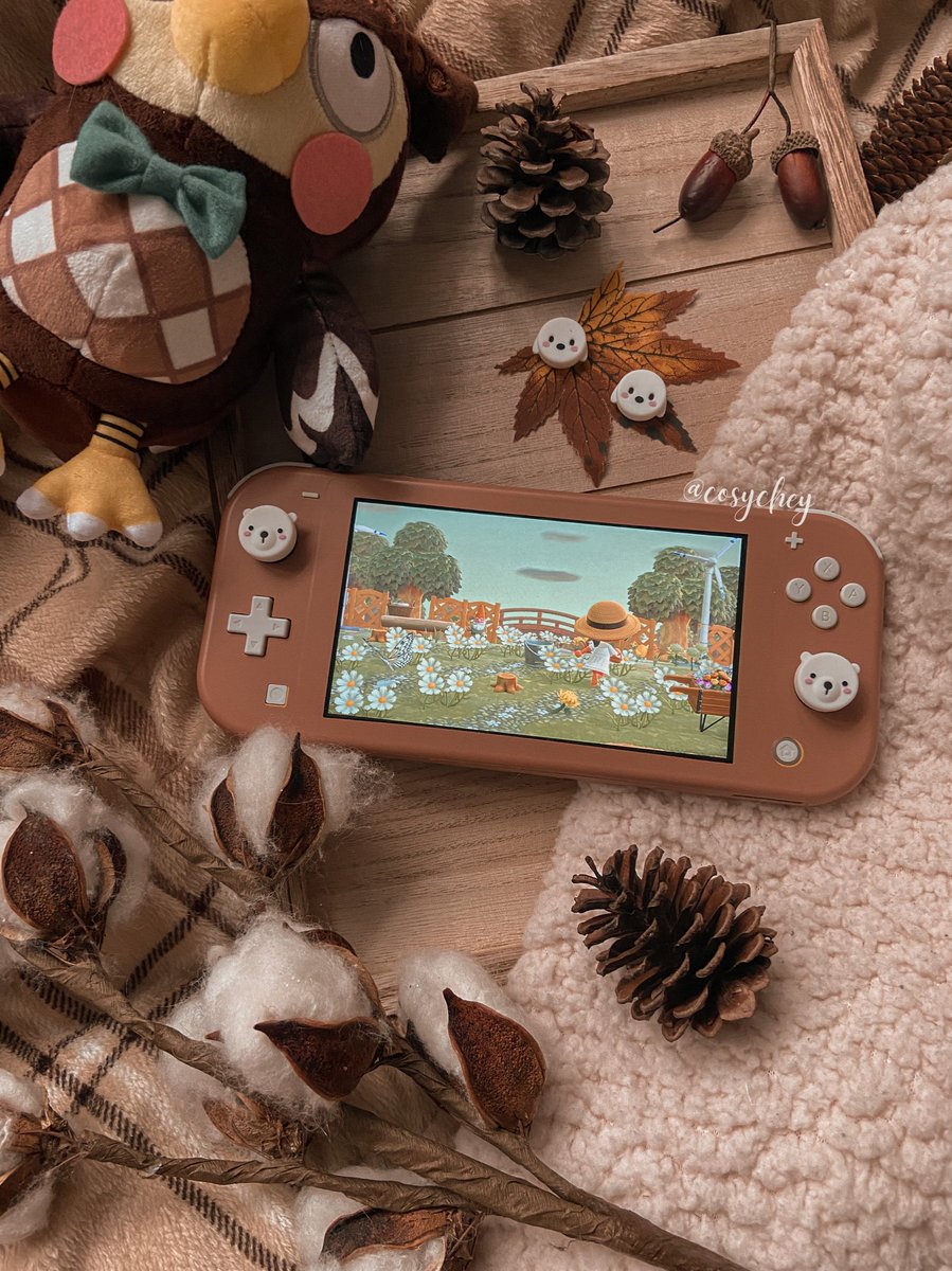 cheyleif's tweet photo. happy monday, i hope everyone’s week starts out well 🧸🤎

#ACNH #AnimalCrossingNewHorizons https://t.co/tIizuBvpBG