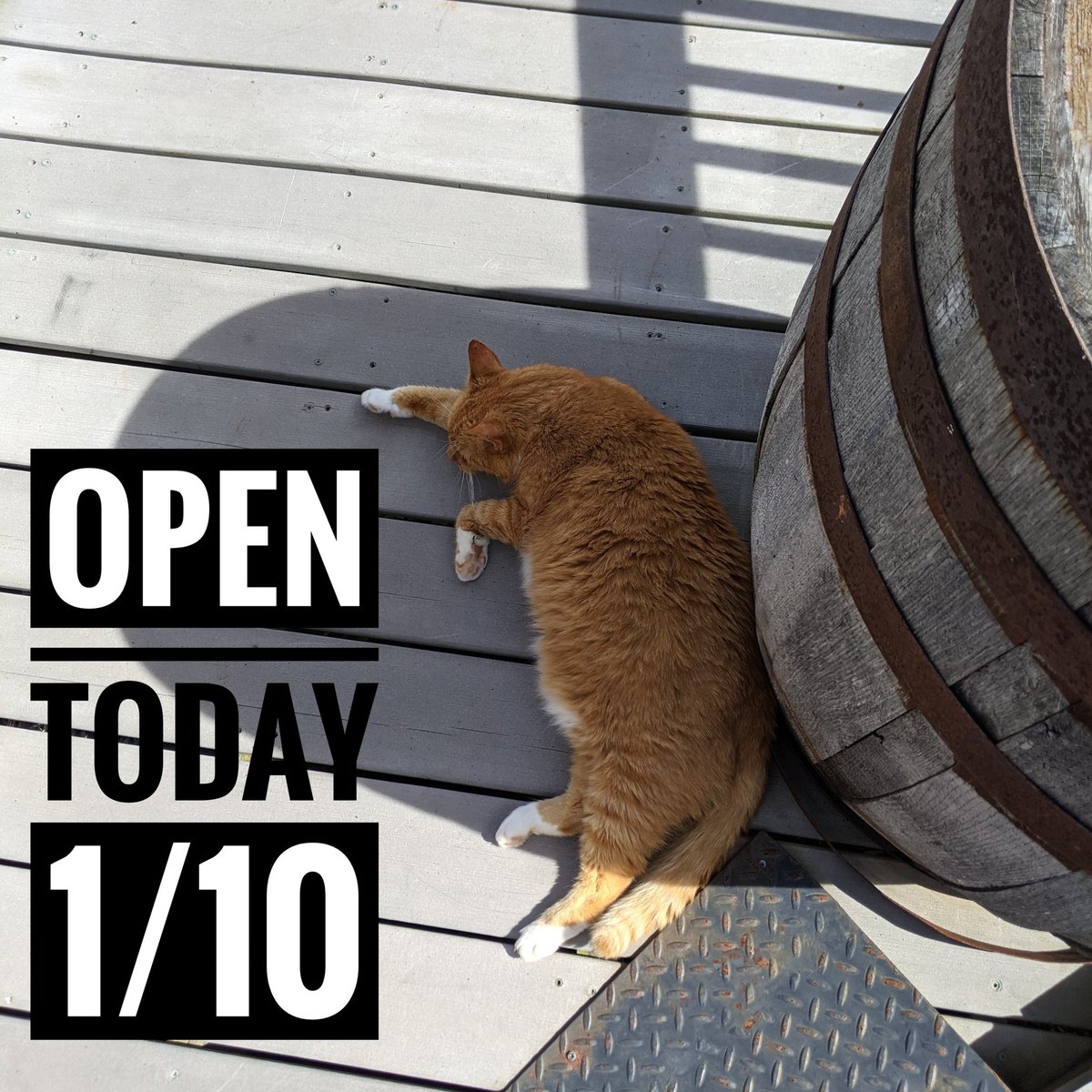 FabbioliWines's tweet photo. We're open today Monday January 10th. 11-5pm https://t.co/9NQ6NPkWUp