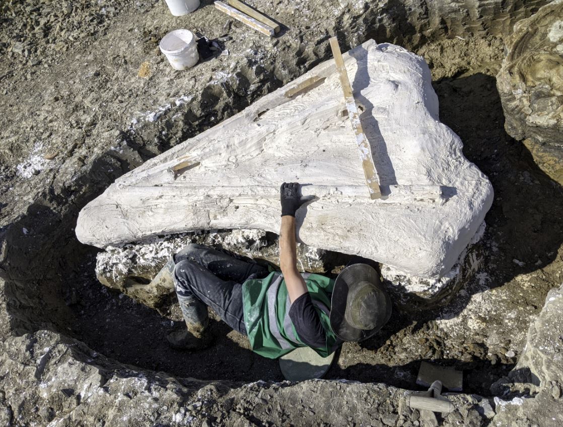 Dr Dean Lomax tweet media