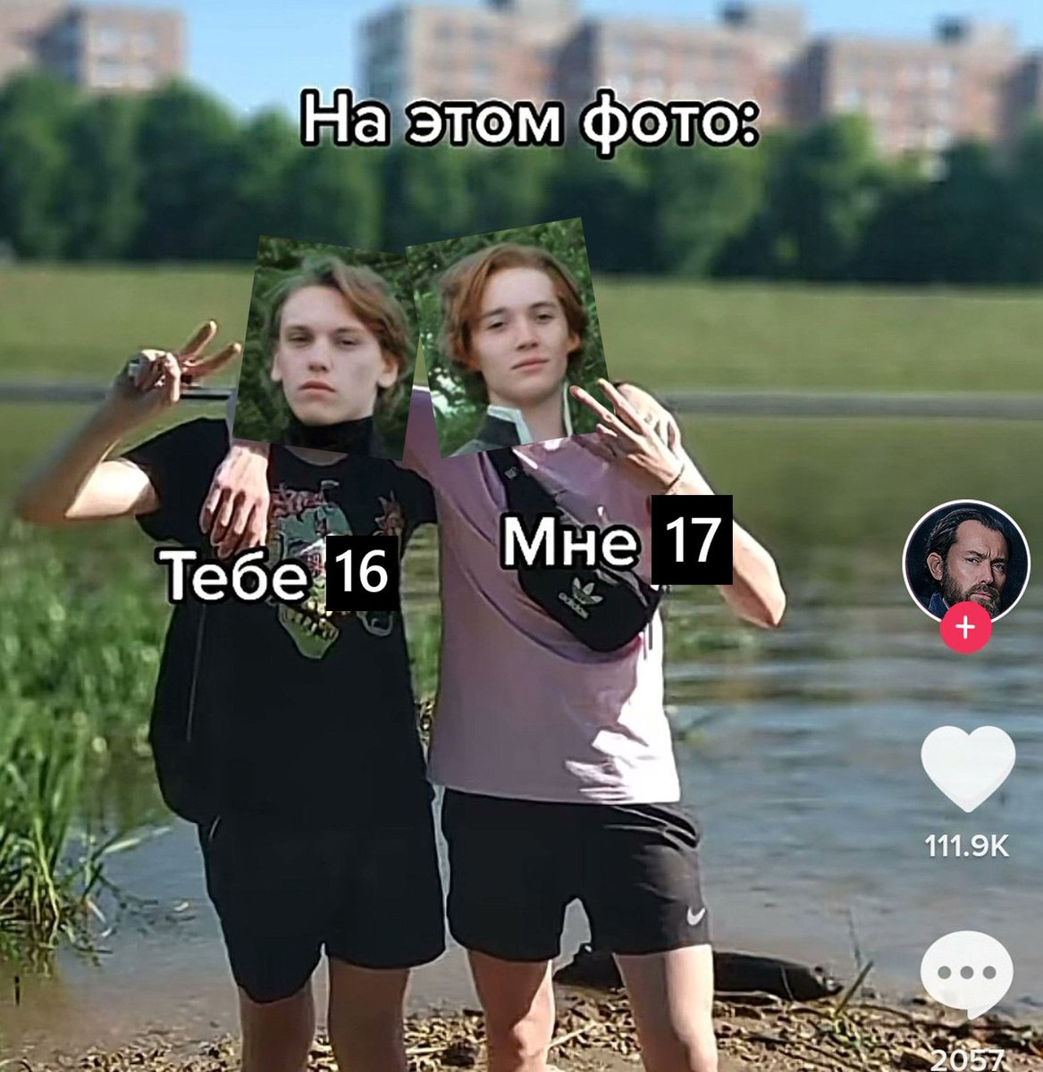 harellysad's tweet photo. #FantasticBeasts

 Давно мемов не было от меня https://t.co/PCxVm01250