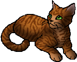 SkyClan, Warriors Wiki