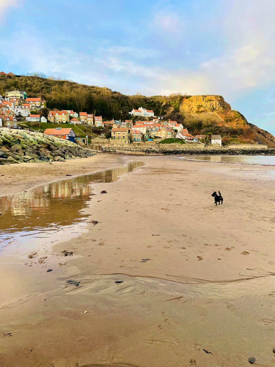 We love Runswick in winter ❤️🐾 #runswickbay #northyorkshire #coast #villagesbythesea #britainsbestbeach #outdoors