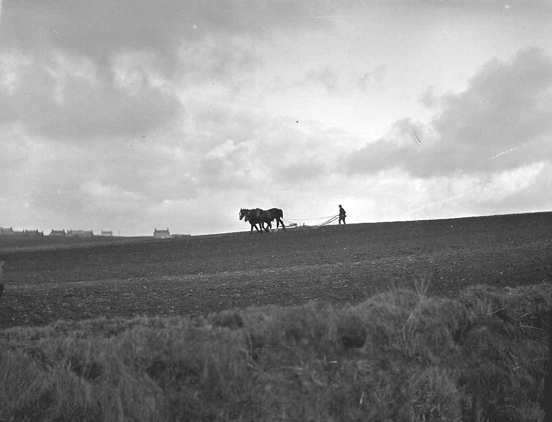 Apparently today is #PloughMonday which is traditionally the start of the English agricultural year. 

This is a still from a Milk Tray advert filmed in #Orkney in the 1980s.