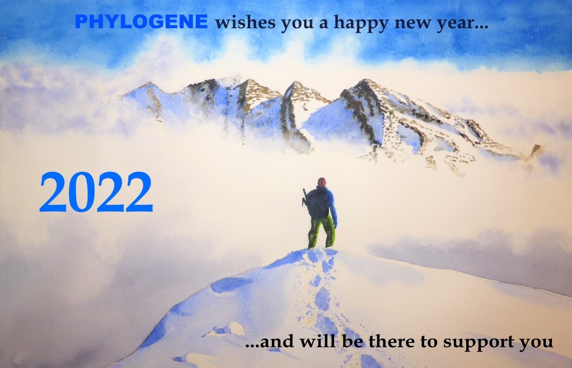 Phylogene_One's tweet photo. https://t.co/q0Dpd7qYzX