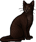 Firestar Warriors Wiki 