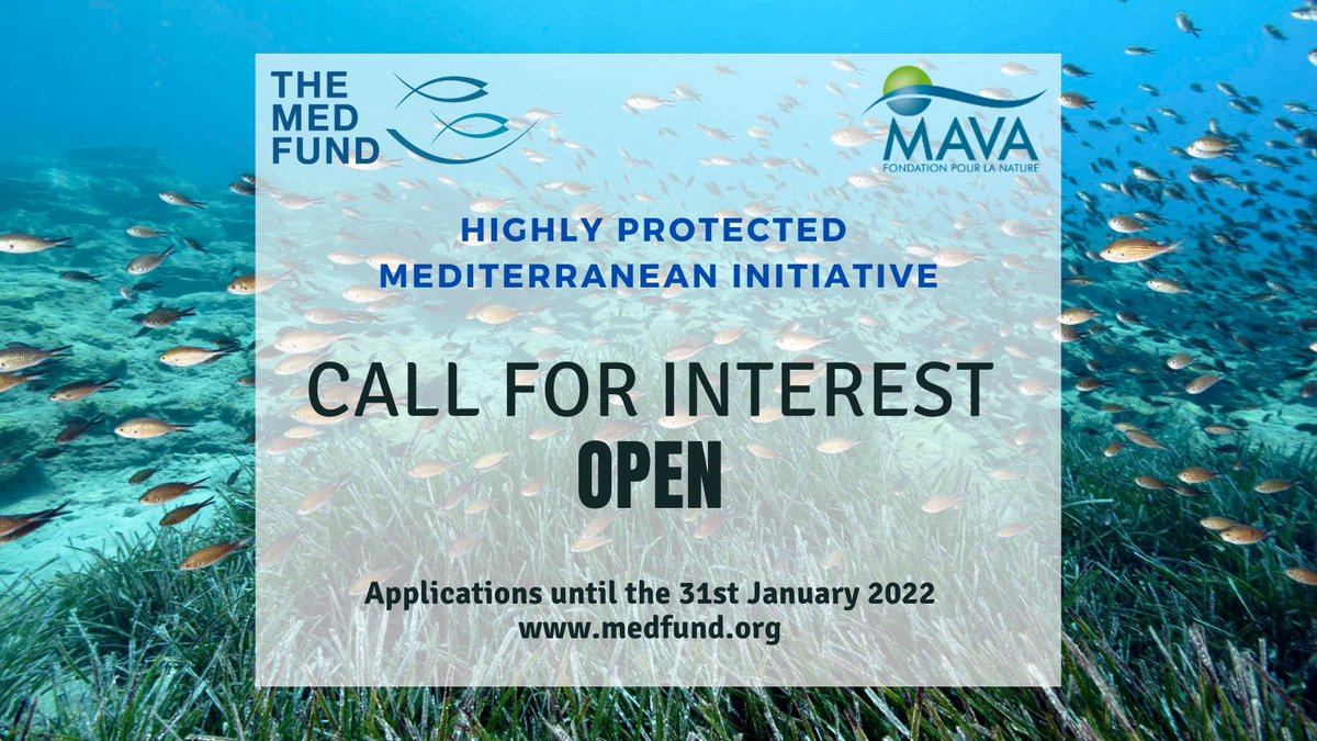 📣Reminder !  The first call for interest for Highly protected marine areas in the Mediterranean will be open until January 31st!
Eligible countries: Algeria, Morocco, Tunisia, Lebanon, Turkey, Albania, Montenegro, Greece and Croatia.
More info: bit.ly/3xQPxg2