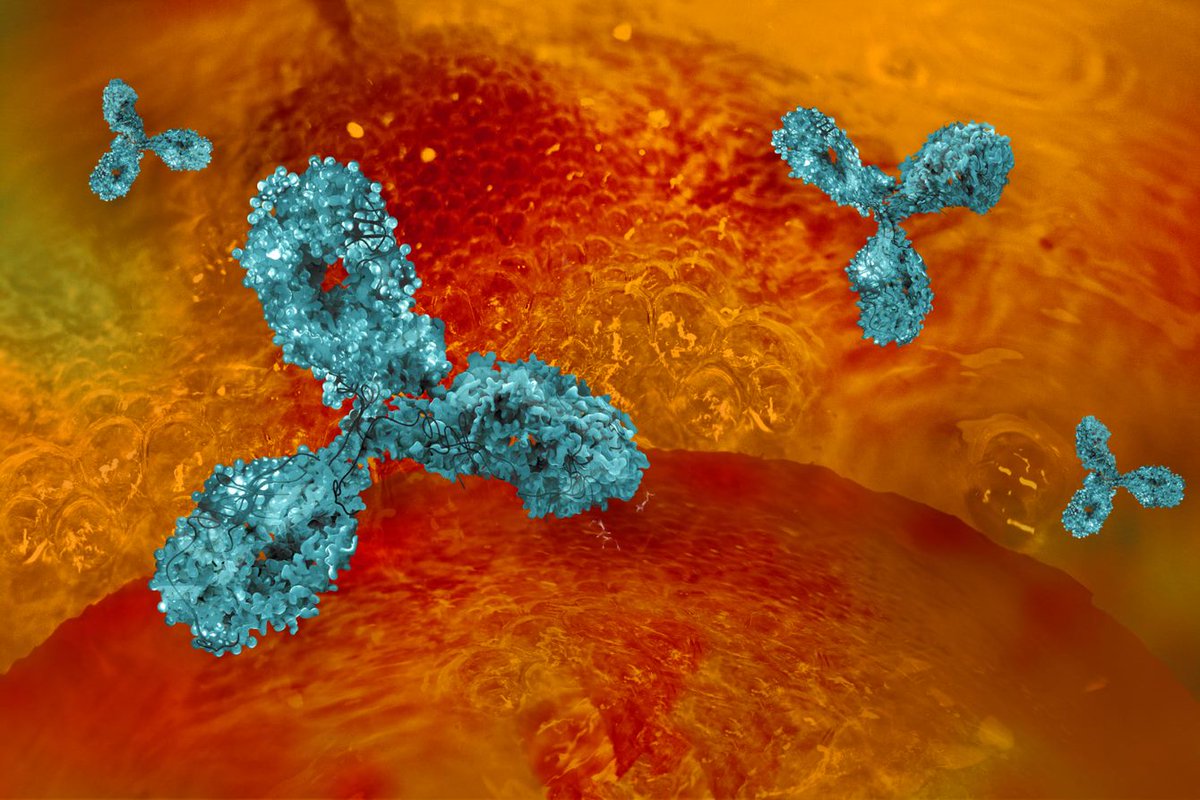 Our leading scientist, Dr Haiyan Jia, has recently published a paper on our first WHO International Standard for Harmonizing the Biological Activity of Bevacizumab Read more: nibsc.org/about_us/lates…