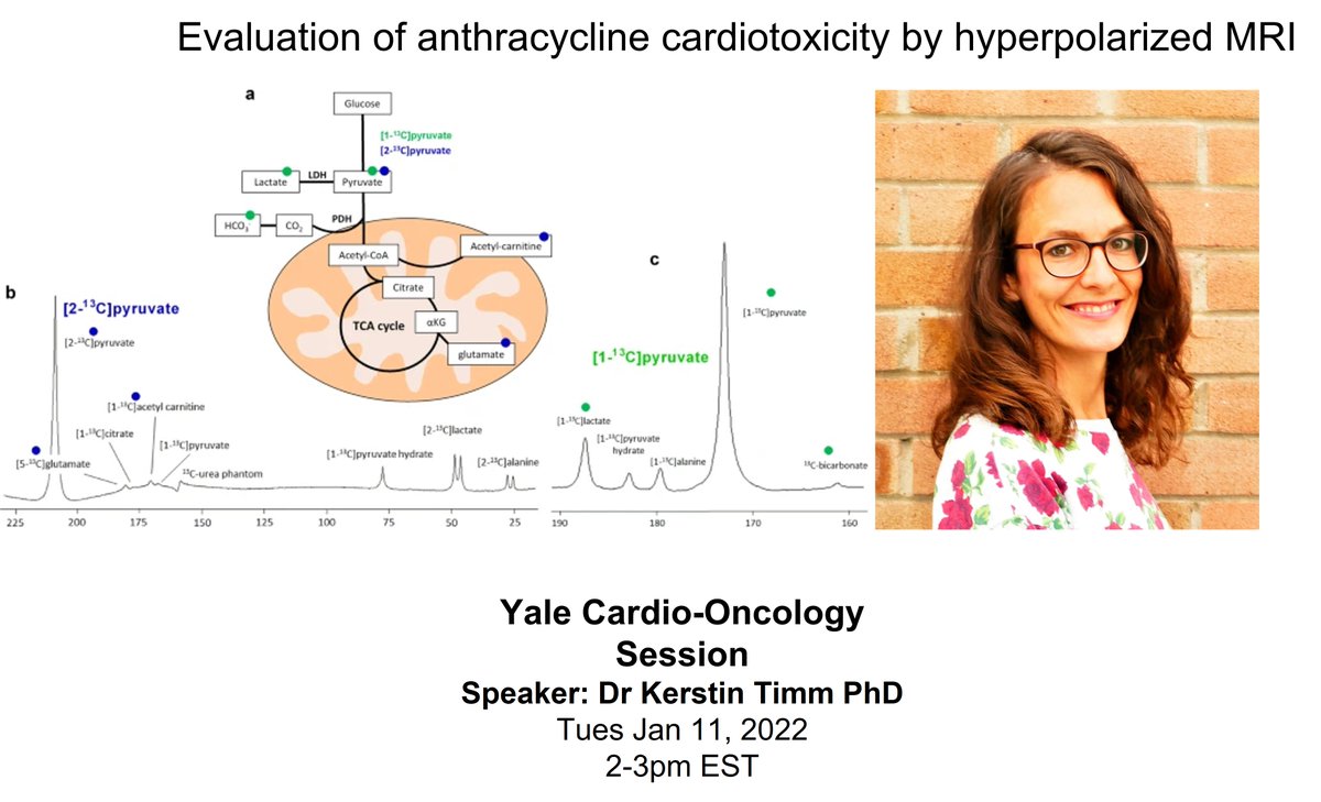 Look forward to <a href="/KN_Timm/">KN_Timm</a> <a href="/UniofOxford/">University of Oxford</a> talk about using hyperpolarized MRI to detect anthracycline toxicity/changes in❤️metabolism in real🕑 in 🐁 models; hyperpolarized MRI is being assessed in the clinical setting to evaluate tumor metabolism in prostate &amp; pancreatic cancer
