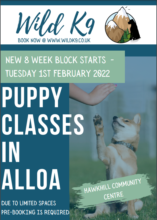Puppy Classes! 🐶 Wild K9 Puppy Training classes! First 8-week block starting at the Centre, Tuesday 1 February at 6:30pm. Due to limited spaces pre-booking online is required at wildk9.co.uk 😊🐾