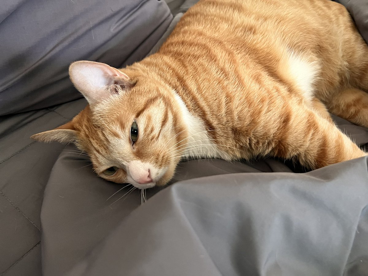 ____miro's tweet image. 9시 출근인데 10시에 깬 얼굴